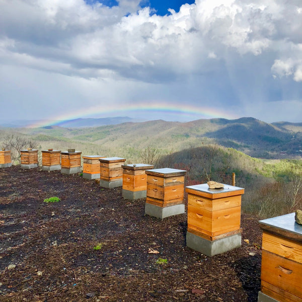 Analysis Confirms Killer Bees Honey is 100% Pure & Natural