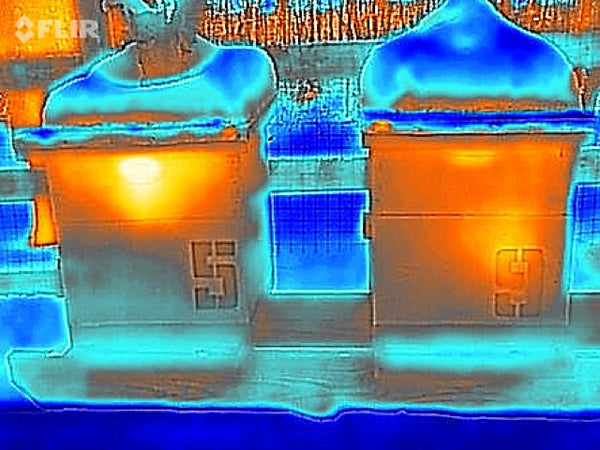 Thermal Thursdays:  Monitoring The Hives with Thermal Imaging