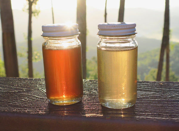 Why Is Sourwood Honey So Unique?