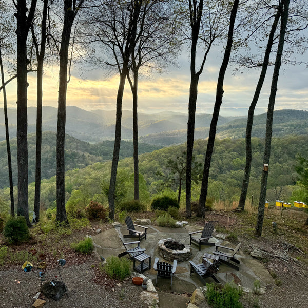 Reserves Of Strength - Setting up our Hives for a Strong Spring