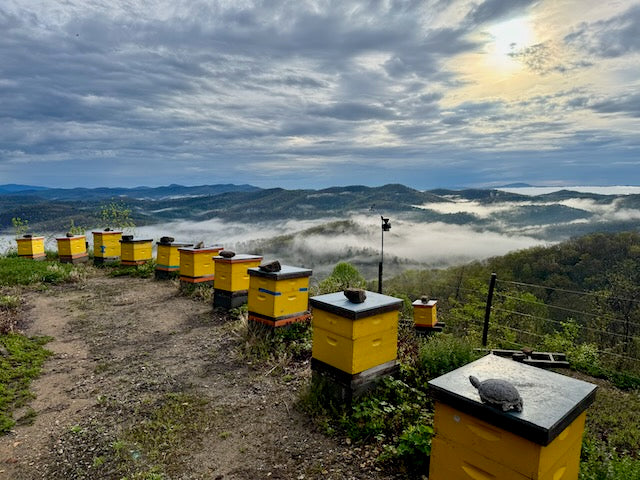 Great spring weather means strong hives & the risk of swarms for Killer ...