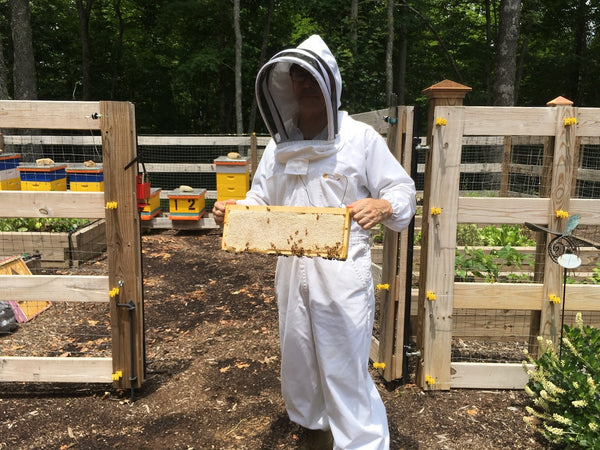 Organic Honey Is An Illusion