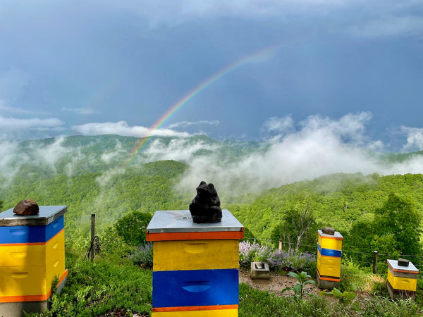 What Is Wildflower Honey?