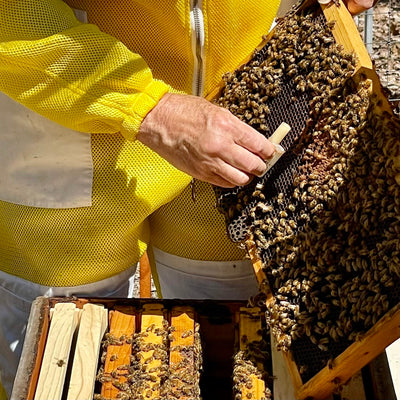 Getting our Bee Hives Ready to go in the Spring - Tales from the Apiary