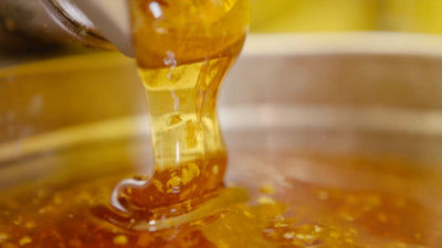 2025 Smoky Mountain Wildflower honey: lab analysis says pure & spectacular!