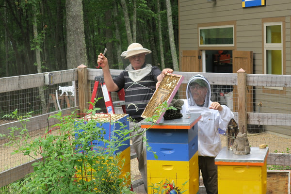 Beekeeping And Community