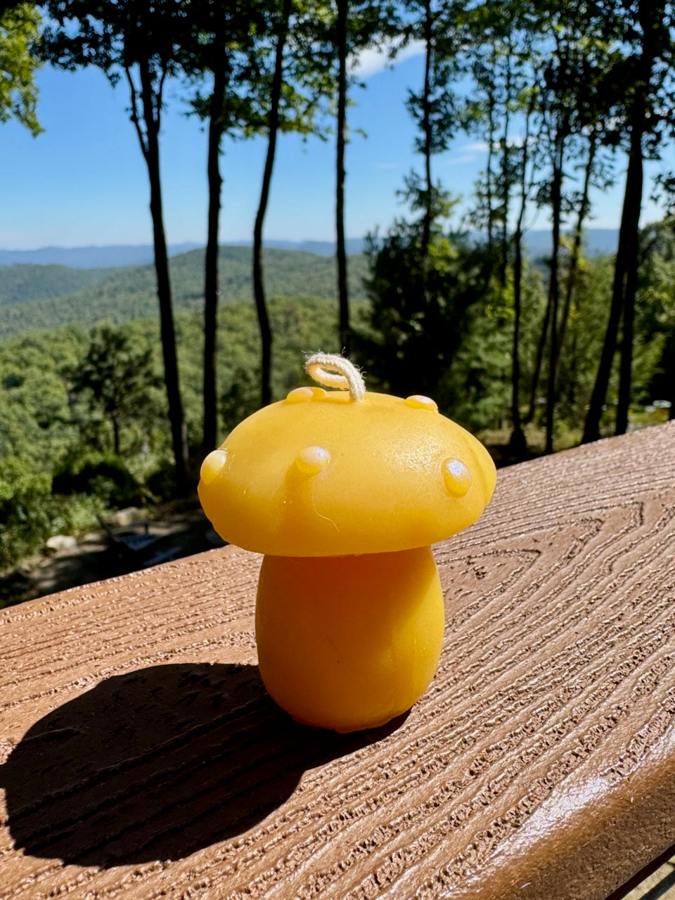 100% Organic Beeswax Candles
