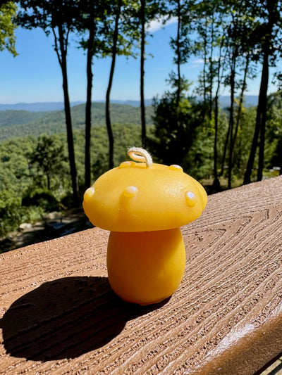 100% Organic Beeswax Candles