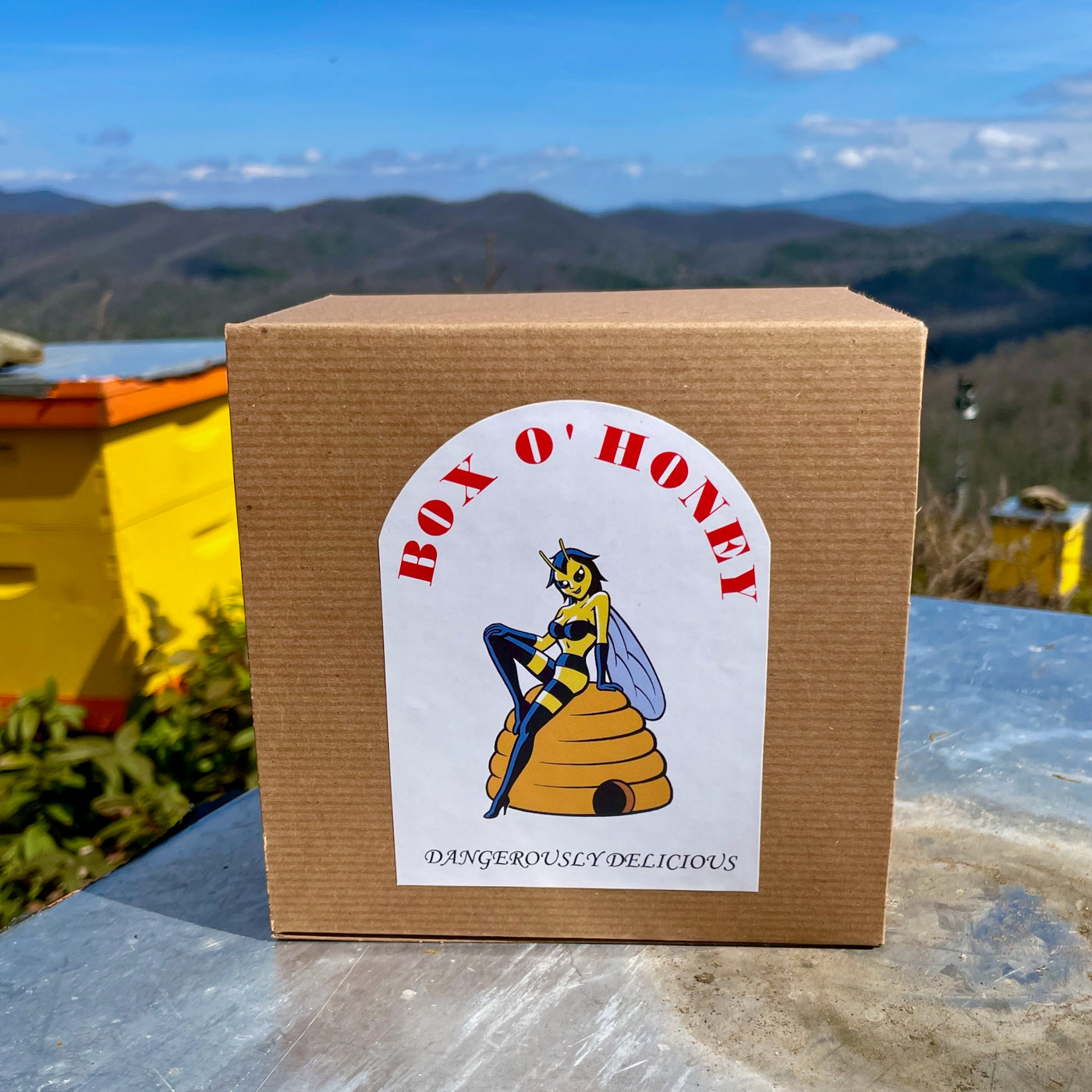 Smoky Mountain Wildflower and Summer Sweet Wildflower honey gift box